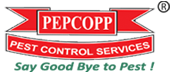 Pest Control Services